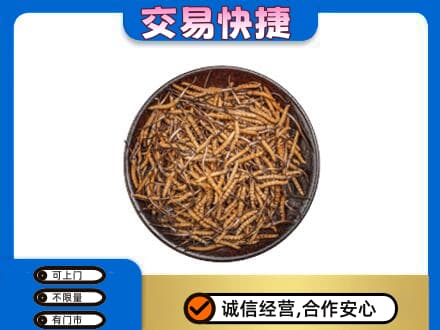 姜堰区回收散虫草